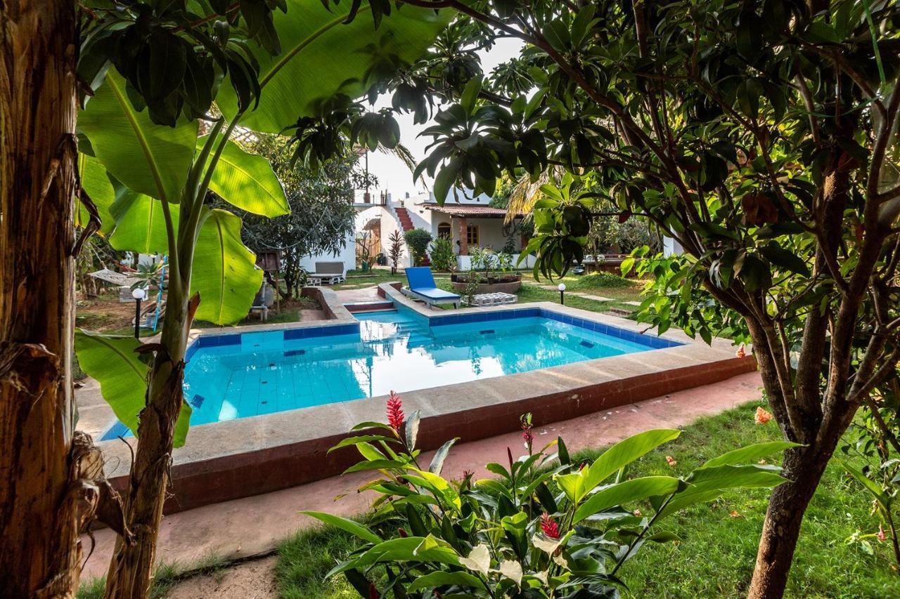 The Hammock Goa * Anjuna